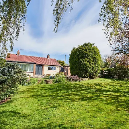 Host & - Manifold 奥斯莫瑟尔雷